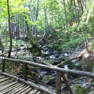 Meet your Posher, Robin